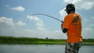 Tiger Fishing