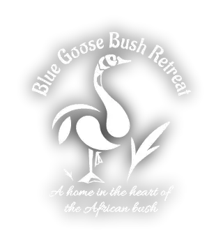 Blue Goose Bush Retreat